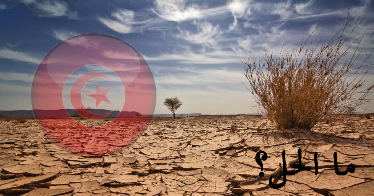 فقر المياه في تونس كارثة بالإمكان تفاديها، بهذه الحلول