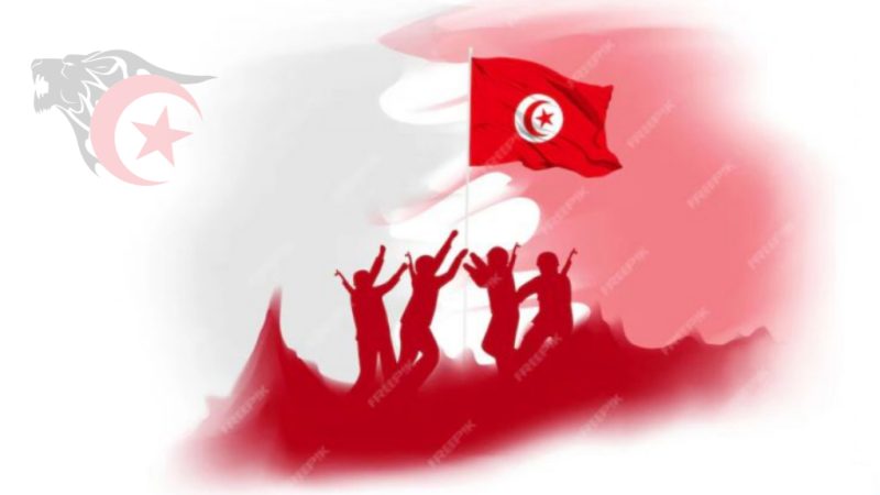 المواقف العامة الفكرية-العاطفية تجاه المشاكل التونسية الملحة